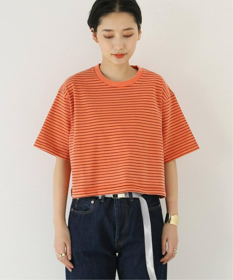 【STAND ALONE/スタンド アローン】ボーダーS/S T-SH：カットソー（JOURNAL STANDARD）