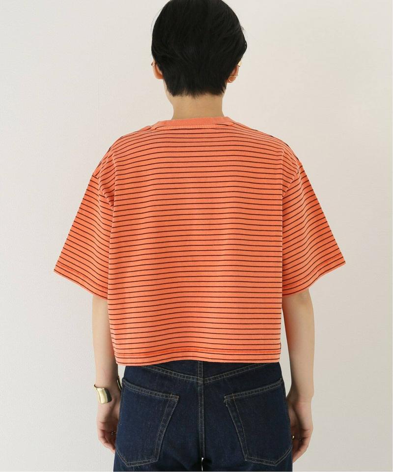【STAND ALONE/スタンド アローン】ボーダーS/S T-SH：カットソー（JOURNAL STANDARD）