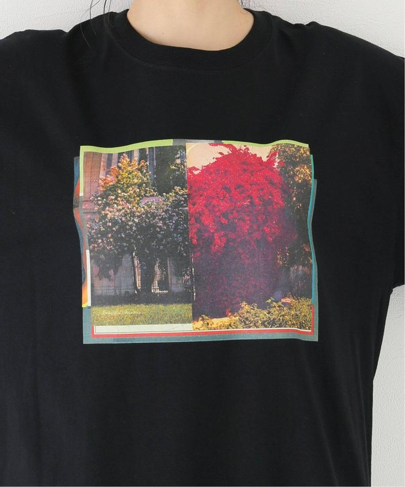 【SURROUND / サラウンド】FLOWER L/S：カットソー（JOURNAL STANDARD）