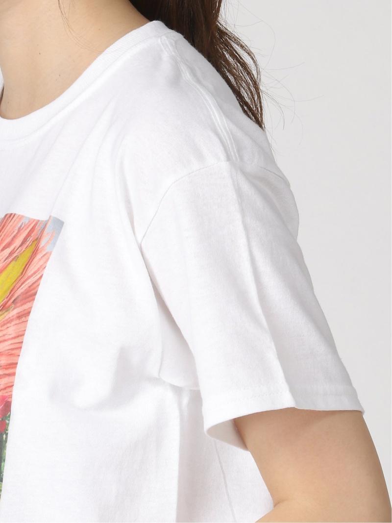 COLLINA STRADA TRIPLE SP PHOTO TEE（COLLINA STRADA）