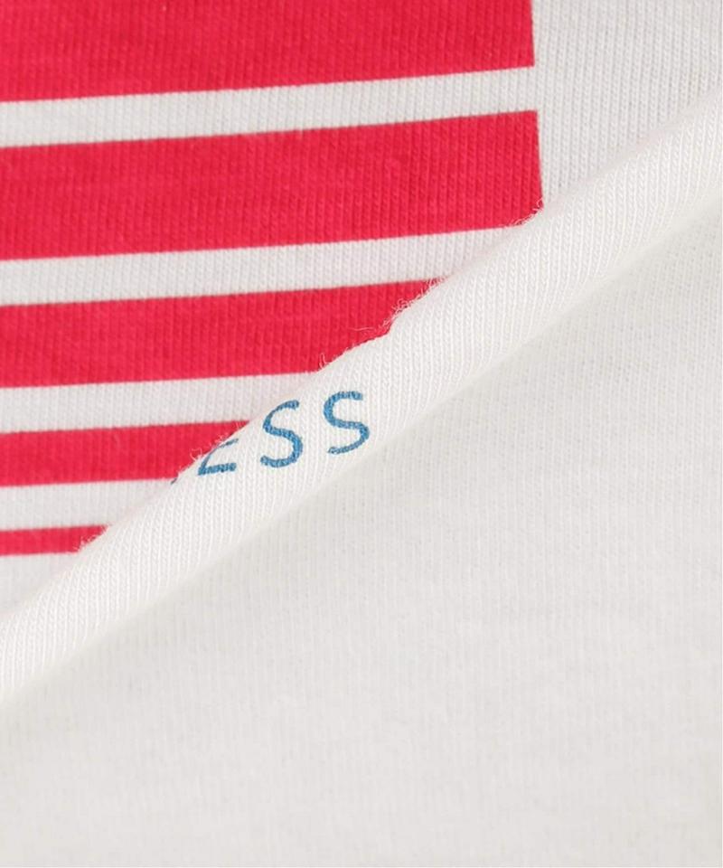 【Carhartt / カーハート】S/S HORIZON SCRIPT T-SHIRT：Tシャツ◆（JOURNAL STAND