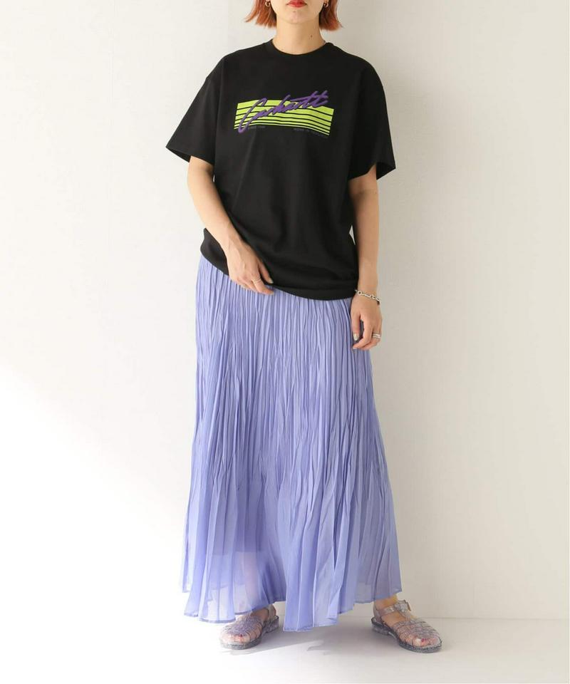 【Carhartt / カーハート】S/S HORIZON SCRIPT T-SHIRT：Tシャツ◆（JOURNAL STAND