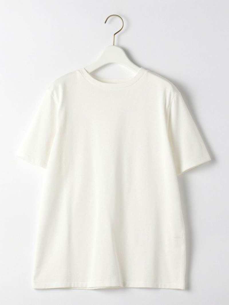 <MGHT>SCSIGNATURETシャツ2