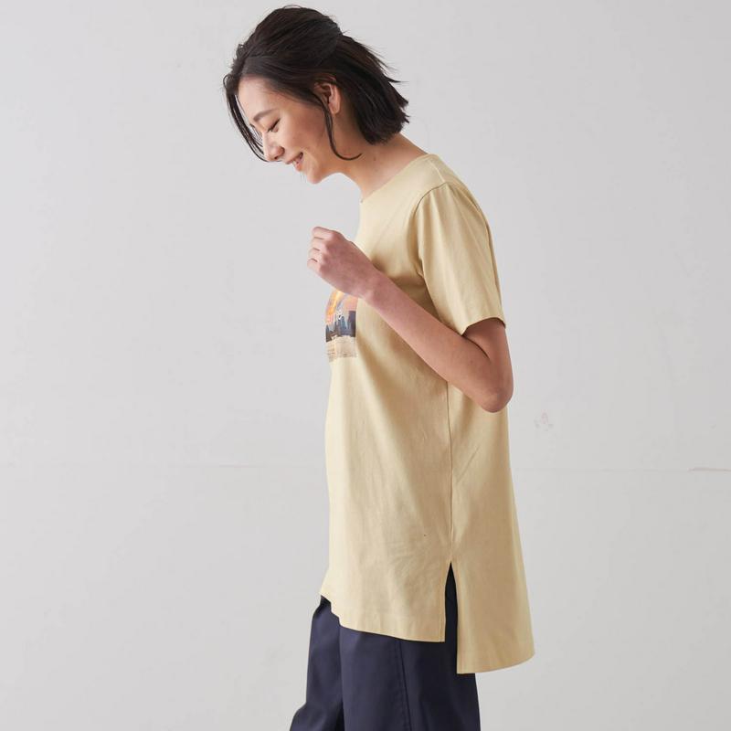 綿１００％のチュニックプリントＴシャツ【Ｓ～６Ｌ】