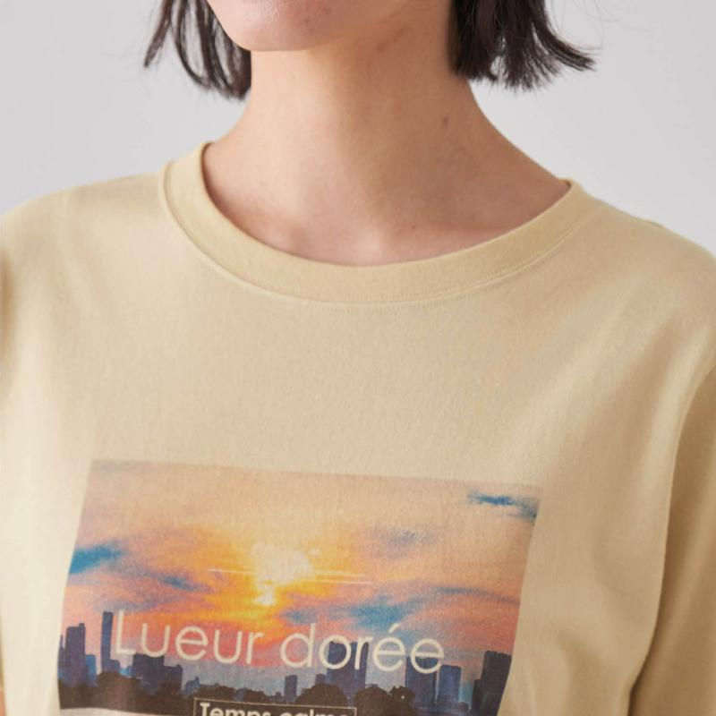 綿１００％のチュニックプリントＴシャツ【Ｓ～６Ｌ】