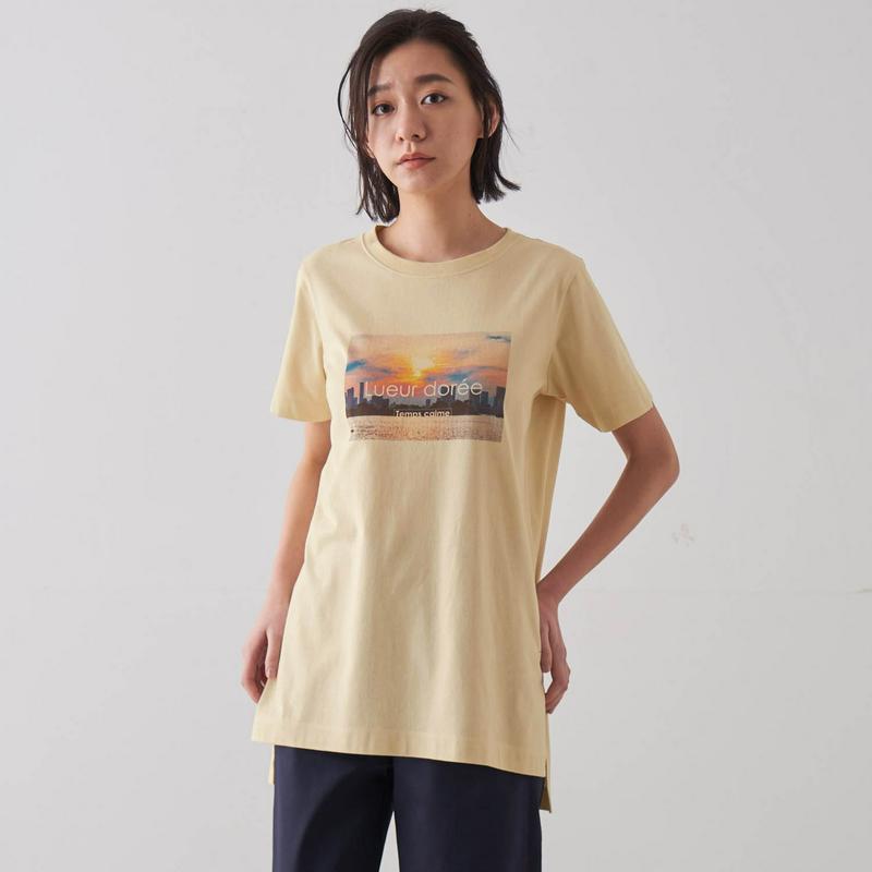 綿１００％のチュニックプリントＴシャツ【Ｓ～６Ｌ】