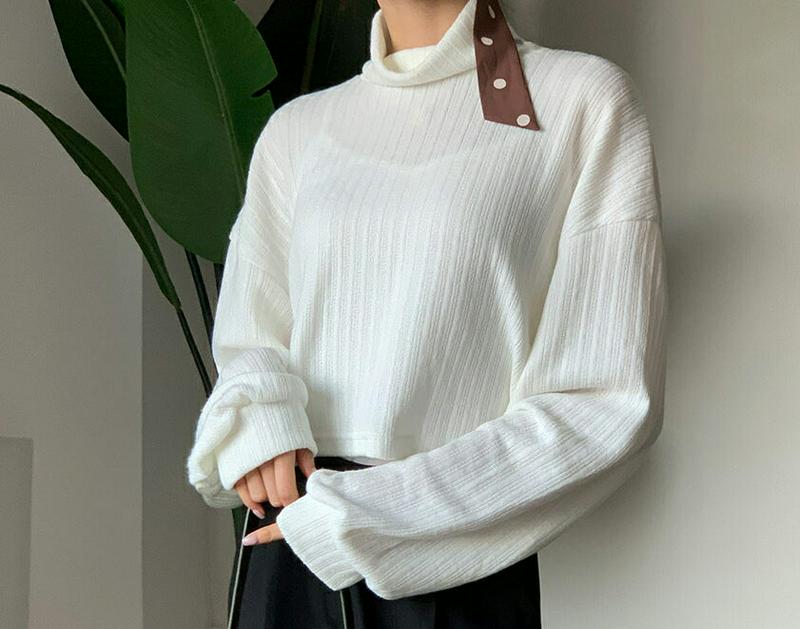 ハイネッククロップドTシャツ・全3色・t60812 レディース【tops】【韓国 ファッション トップス Tシャツ 長袖 ハイネ
