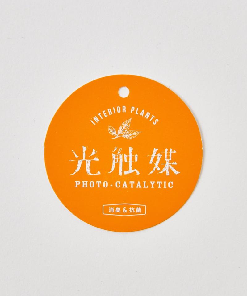 〈ミニ観葉植物・フェイクグリーン〉MRポット