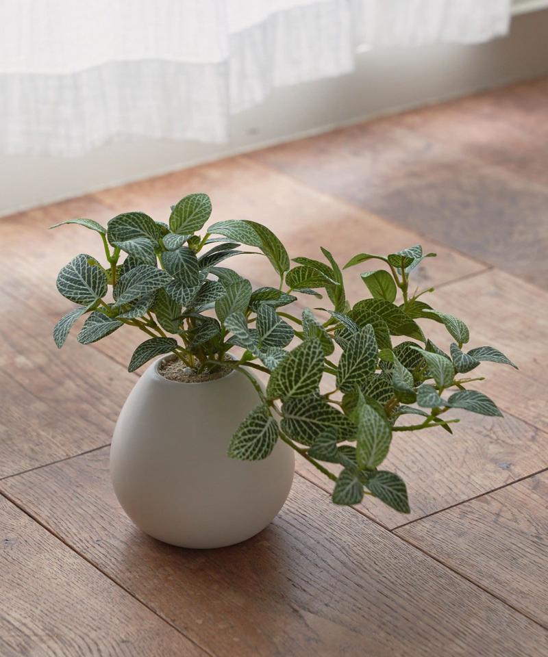 〈ミニ観葉植物・フェイクグリーン〉MRポット