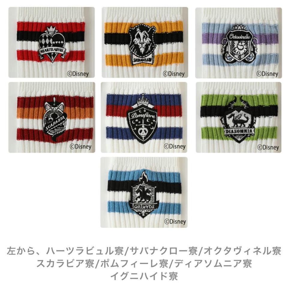 【あす楽】50%OFF『ディズニー ツイステッドワンダーランド』　カレッジソックス 2206sl