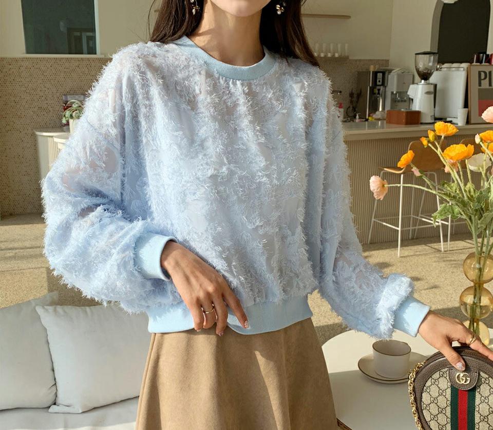 シアーテクスチャーTシャツ・全4色・t62542 レディース 【tops】【韓国 ファッション トップス スウェット Tシャツ カットソー 長袖 無地 ラウンドネック シアー テクスチャー フェミニン シンプル デイリー ベーシック カジュアル カジュアル 秋 冬】