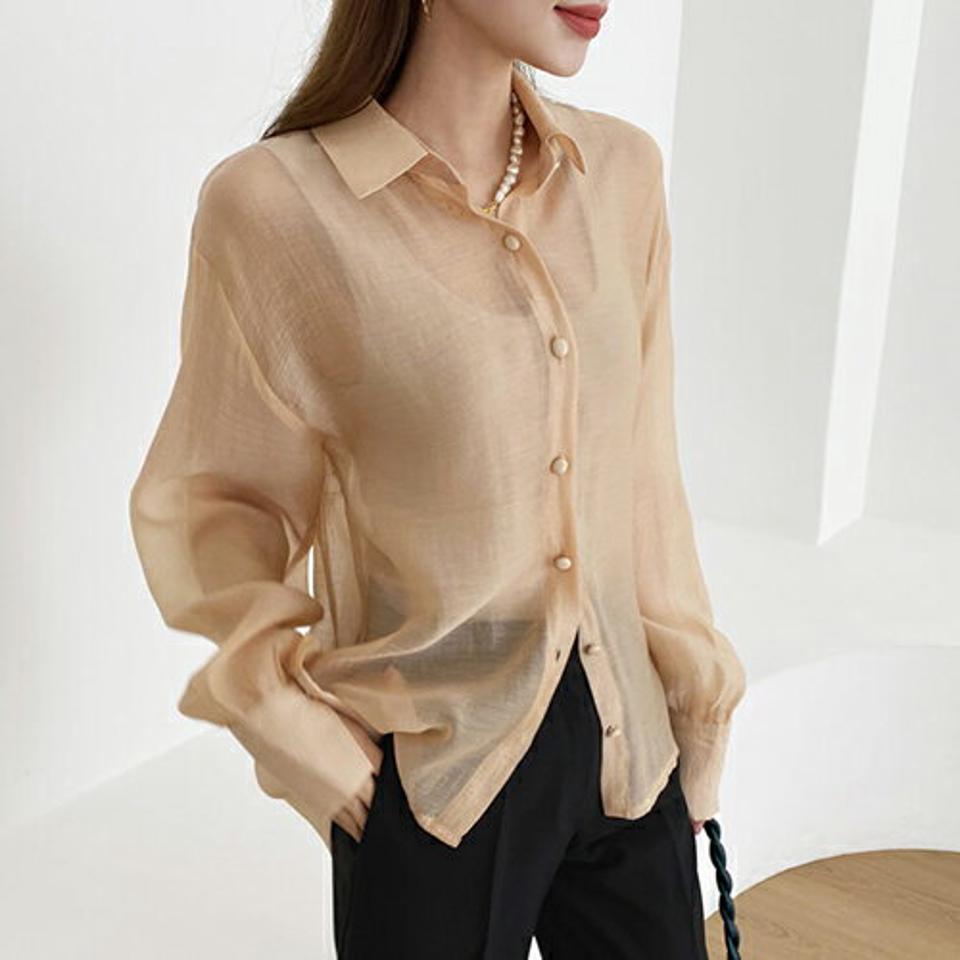 シースルーシャツブラウス・全2色・b67149 レディース 【bl】【トップス シャツブラウス ブラウス シースルー 透け感 シアー 長袖 単色 無地 シンプル フェミニン 大人 秋 春 韓国 ファッション】【ハイホリHIHOLLI】