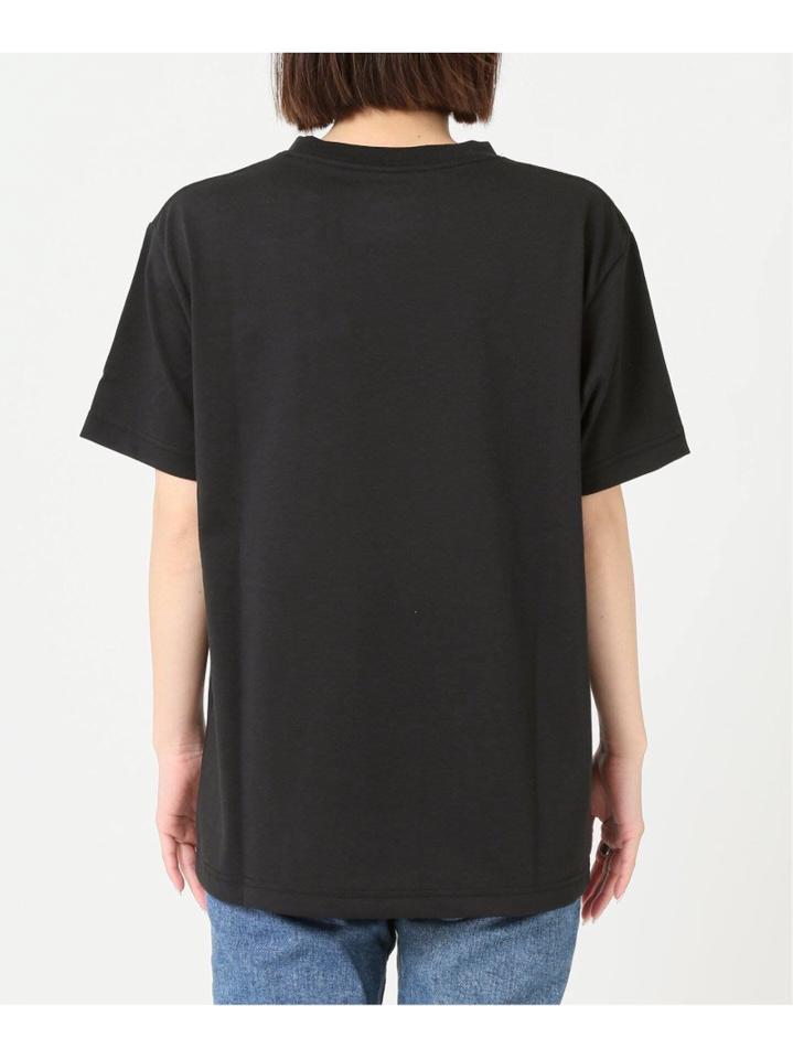 【THE NORTH FACE/ザ・ノース・フェイス】 SMALL BOX LOGO TEE:Tシャツ◆