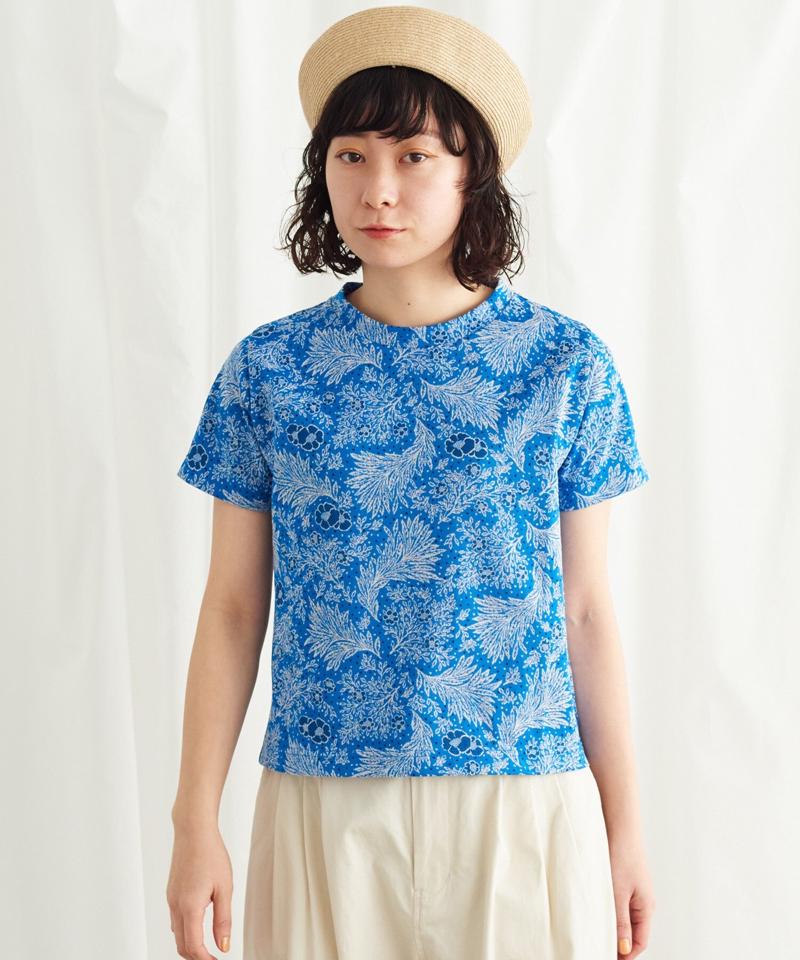 海辺の植物ジャガード Tシャツ（Lene non finito）