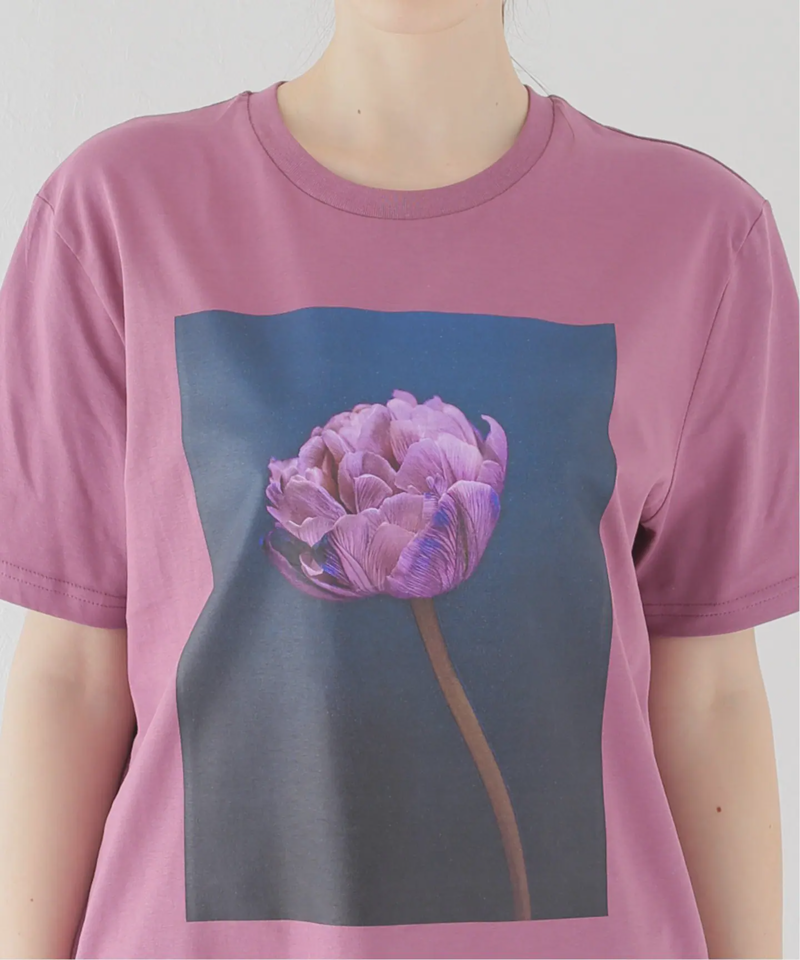 【LISA KING/リサキング 】 TULIP S/S TEE：Tシャツ（JOURNAL STANDARD relume）