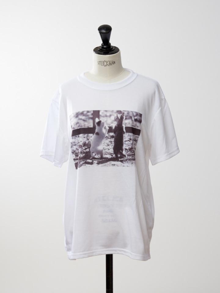 【9-22】フォトプリントTシャツ ネコ 自転車 一輪挿し【予約】