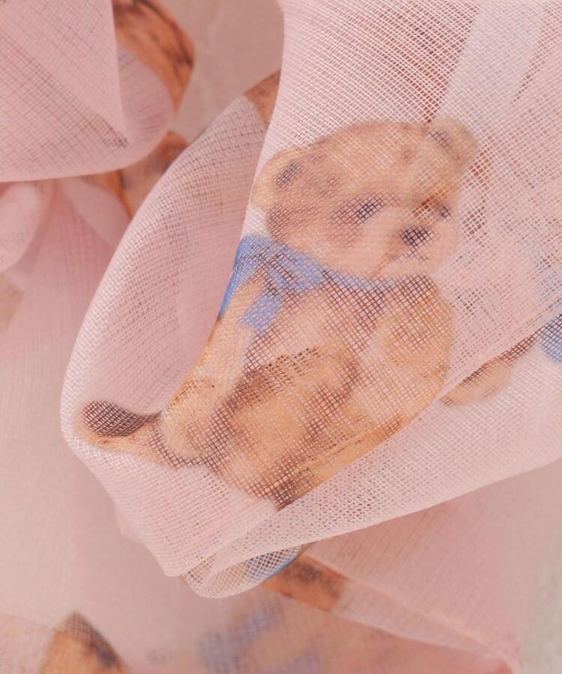 クマちゃんシアーシュシュ