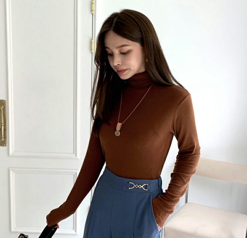 タートルネックTシャツ・全6色・t70027 レディース 【tops】トップス Tシャツ 長袖 ロングT タートルネック 単色 無地 シンプル ベーシック 透け感 大人 カジュアル 春 秋 韓国ファッション ハイホリHIHOLLI