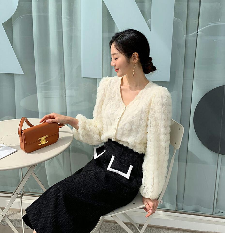 ローズレースブラウス・全3色・t64978 レディース 【bl】韓国ファッション トップス ブラウス 長袖 Vネック 大人 ローズレース 上品 クロップド丈 ドットパターン シンプル ボタン フェミニン カジュアル 体型カバー ガーリー 秋 春