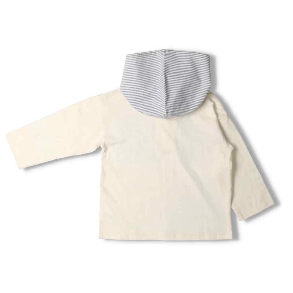 フード付きストライプ柄配色Ｔシャツ
