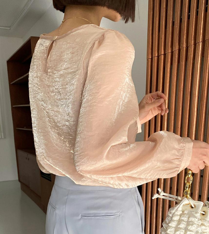 ラウンドシアーブラウス・全3色・t66551 レディース 【bl】韓国ファッション トップス ブラウス 長袖 ラウンドネック シアー 光沢 ボタン 無地 シンプル 大人 体型カバー カジュアル フェミニン 春 秋 冬