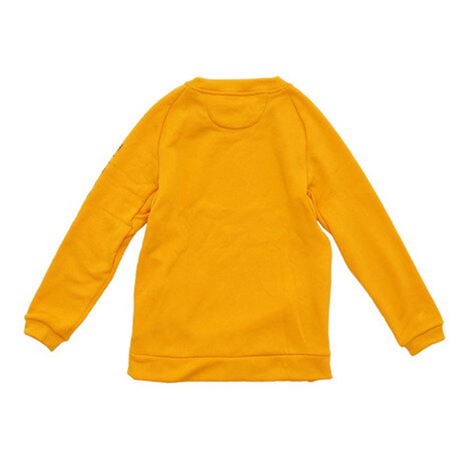 アディダス（adidas） ボーイズ トレーニング スウェット クルー Q4 IXF81-GD9202 オンライン価格 （キッズ）