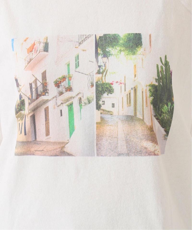 USAコットンフォトプリントTシャツ◆（JOURNAL STANDARD relume）