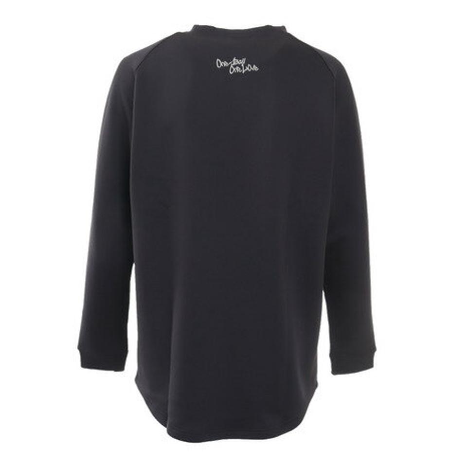 チャンピオン（CHAMPION） テックウィーブ 3LSクルーネックスウェットシャツ C3-UB010 090 バスケットボール スポーツウェア （メンズ）