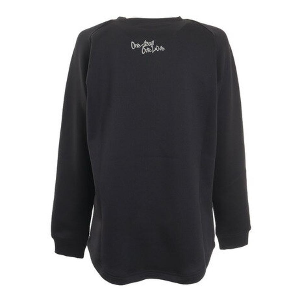 チャンピオン（CHAMPION） ジュニア テックウィーブ 3LSクルーネックスウェットシャツ CK-UB020 090 バスケットボール スポーツウェア （キッズ）