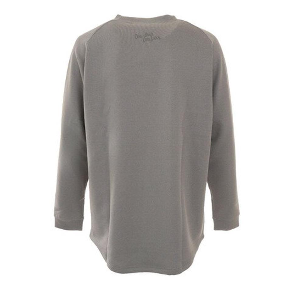 チャンピオン（CHAMPION） テックウィーブ 3LSクルーネックスウェットシャツ C3-UB010 070 バスケットボール スポーツウェア （メンズ）