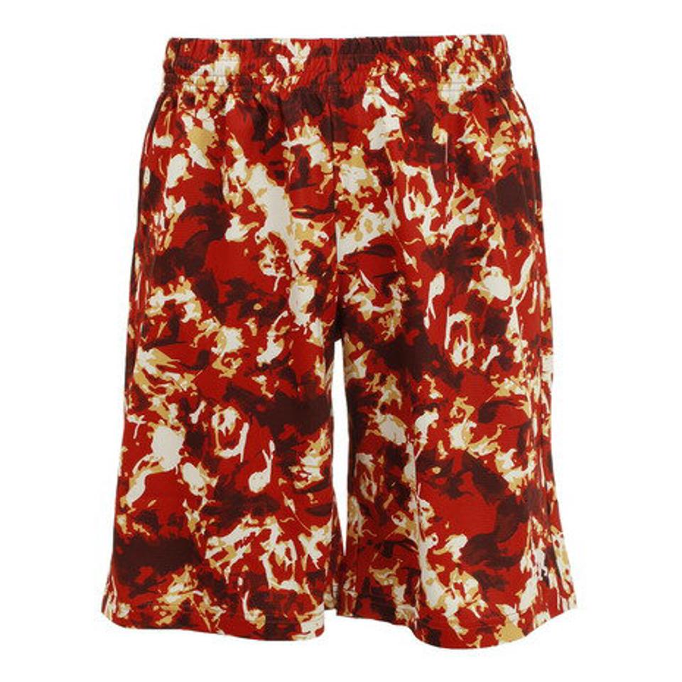 エゴザル（EGOZARU）（メンズ、レディース） バスケットボールウェア フレイム ショートパンツ EZHP-F2102