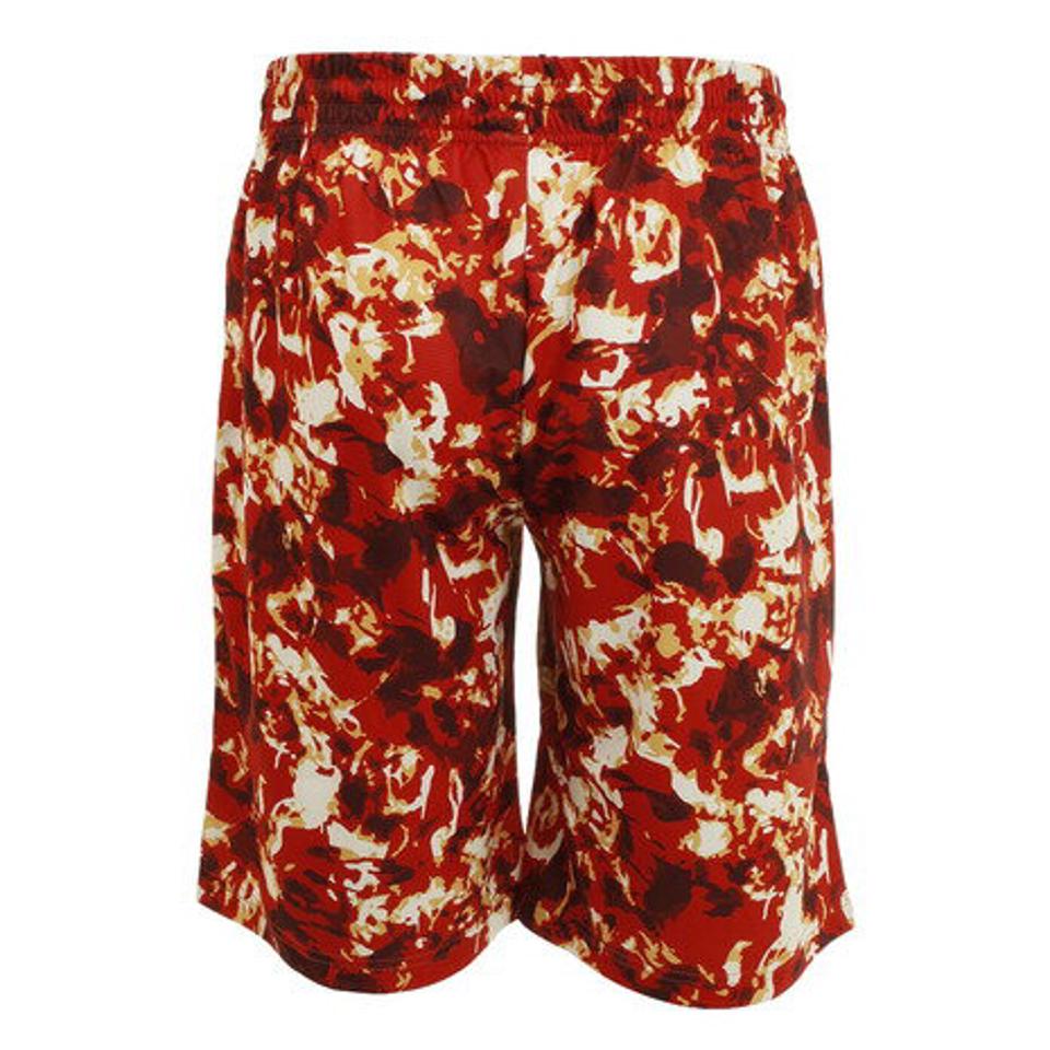 エゴザル（EGOZARU）（メンズ、レディース） バスケットボールウェア フレイム ショートパンツ EZHP-F2102