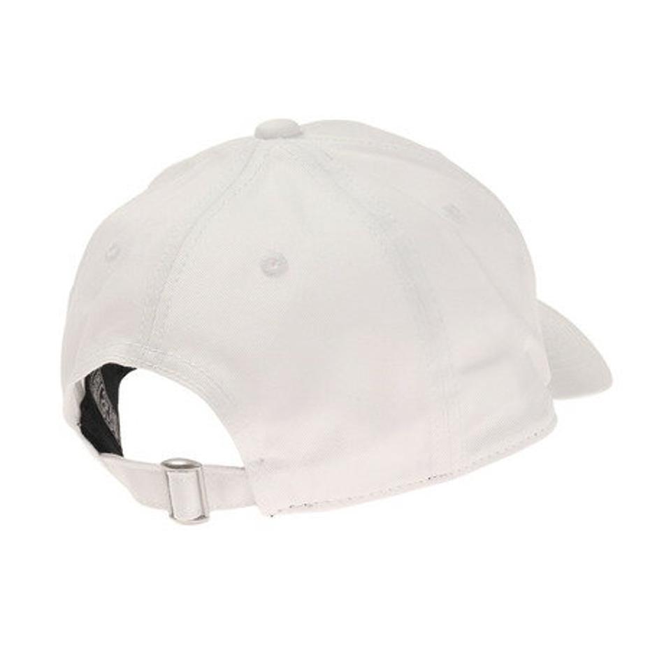 【4/10限定！エントリーで最大100％ポイントバック】ライズ（RYZ）（メンズ）USAロゴキャップ 897R2ST4614 帽子