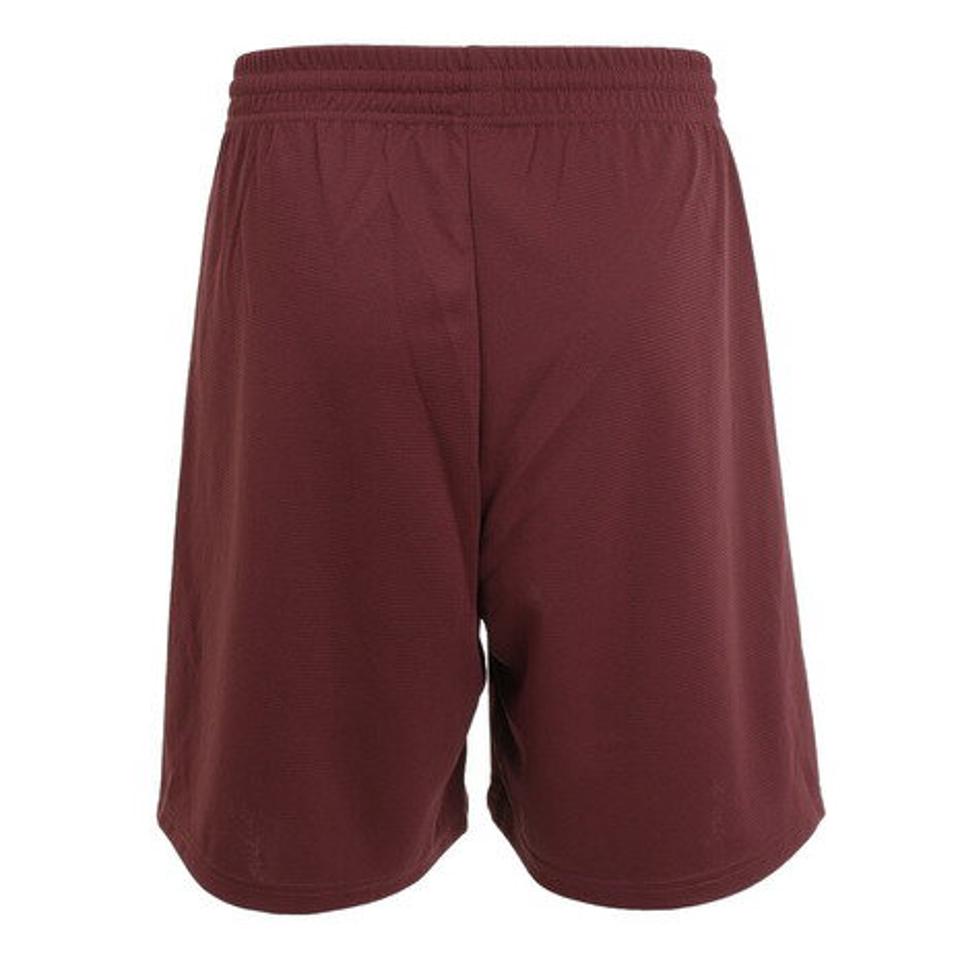 【5/25限定 エントリー＆3点以上ご購入でP最大10倍】エゴザル（EGOZARU） バスケットボールウェア ベーシックロゴカラー ハーフパンツ EZHP-2101T-134 （メンズ）