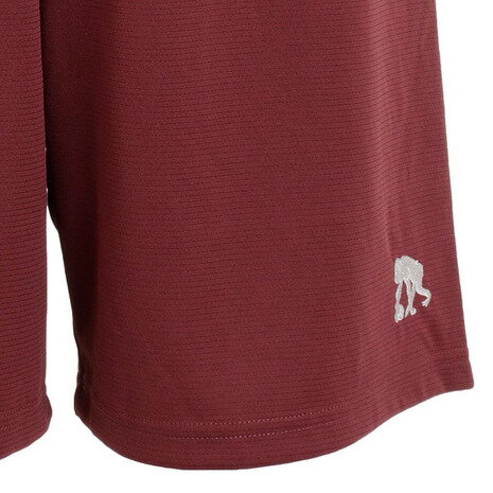 【5/25限定 エントリー＆3点以上ご購入でP最大10倍】エゴザル（EGOZARU） バスケットボールウェア ベーシックロゴカラー ハーフパンツ EZHP-2101T-134 （メンズ）