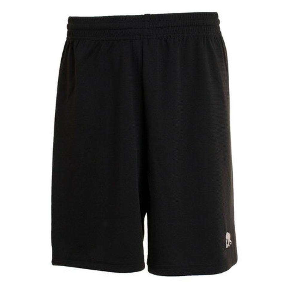 エゴザル（EGOZARU）（メンズ） バスパン バスケットボールウェア ベーシックロゴカラー ハーフパンツ EZHP-2101T