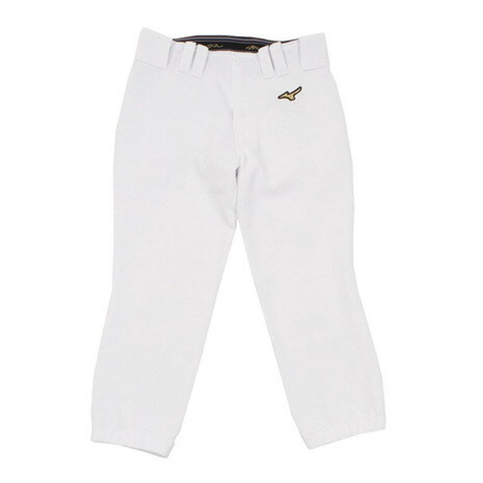 【3/25 24h限定 エントリー＆対象3店舗買い回りで最大P10倍！】ミズノ（MIZUNO）（メンズ）野球 ユニフォームパンツ ミズノプロ ストレッチ練習用パンツ レギュラーフィットタイプ 12JD9F1001 練習着