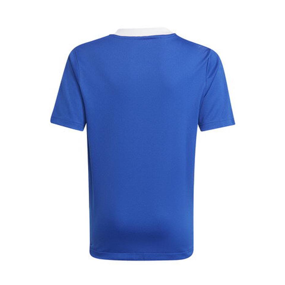 【10/25 24h限定 エントリー&対象3店舗買い回りで最大P10倍!】アディダス(adidas)(キッズ) サッカー ウェア 半袖 ジュニア サッカー ティロ 21 トレーニングジャージー プラクティスシャツ 44875