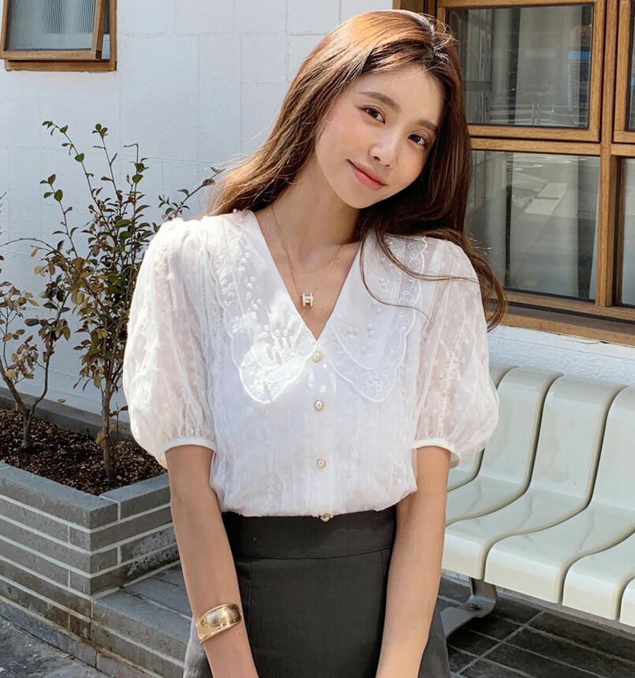 ドットフェイクパールカラーブラウス・全2色・b66973 レディース 【bl】トップス ブラウス 半袖 ハーフスリーブ パールボタン 襟 レース ドット柄 襟コン メッシュ 透け感 シースルー フェミニン アイレット スカラップ 春 夏 韓国ファッション