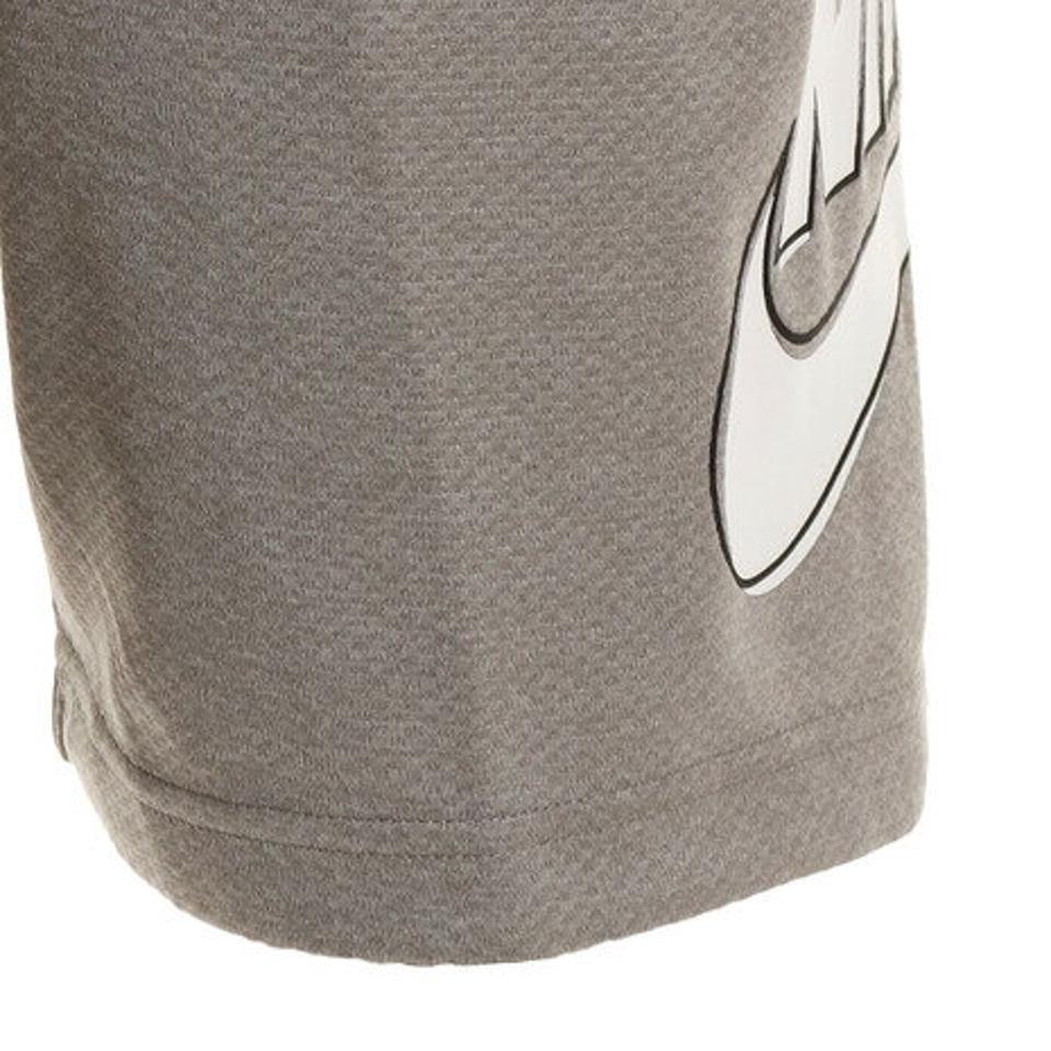 ナイキ（NIKE） SB サンデー グラフィック スケートボード ショートパンツ CI5853-064 オンライン価格 ハーフパンツ （メンズ）