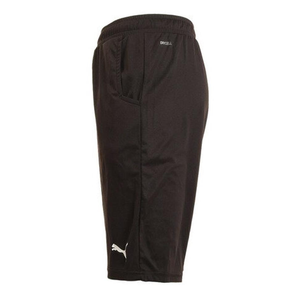 プーマ（PUMA）（メンズ） ドライ 速乾 ドライプラス ショーツ ショートパンツ 522294