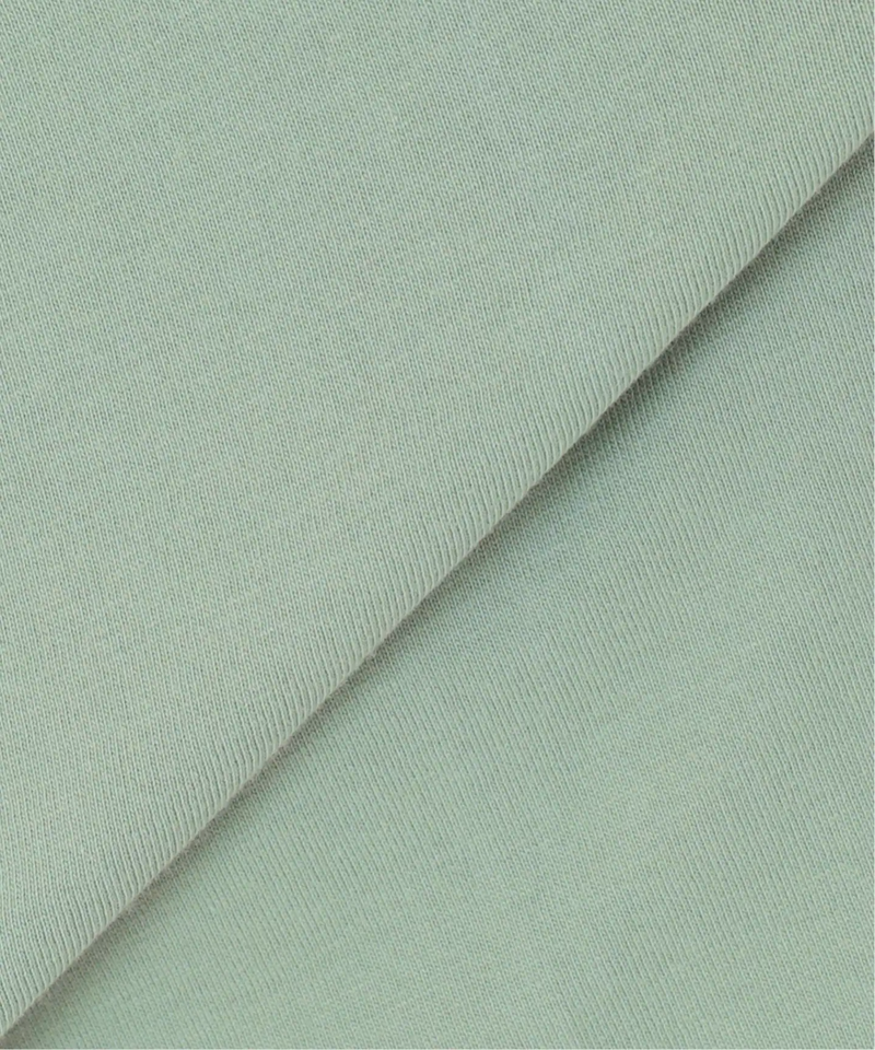 別注【CHAMPION】*RELUME 20s/1 USA Cotton Jersey：ロゴTシャツ（JOURNAL STANDARD relume）