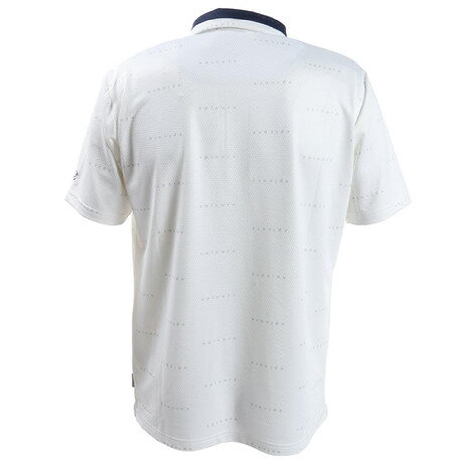 エピキュール（epicure）（メンズ）ゴルフウエア メンズ エンボス柄ポロシャツ 151-22342-004