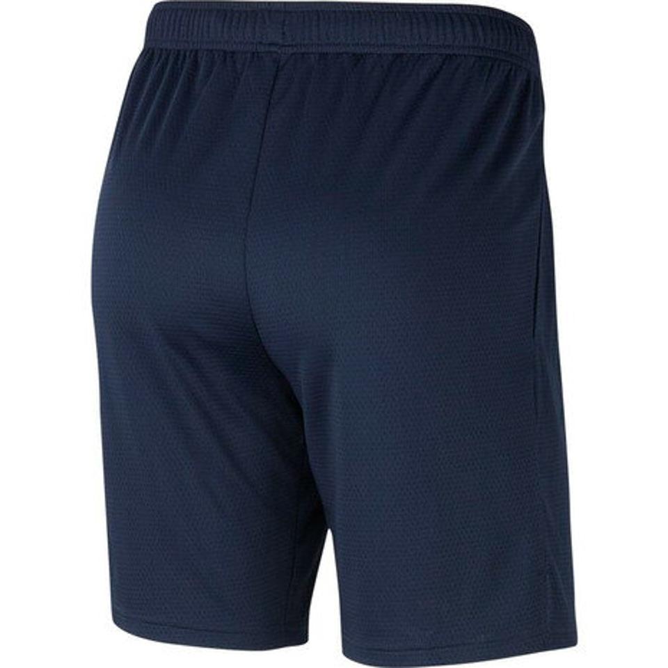 ナイキ(NIKE)(メンズ)モンスター メッシュ 5.0CU4944-451 オンライン価格 ショートパンツ ハーフパンツ 短パン