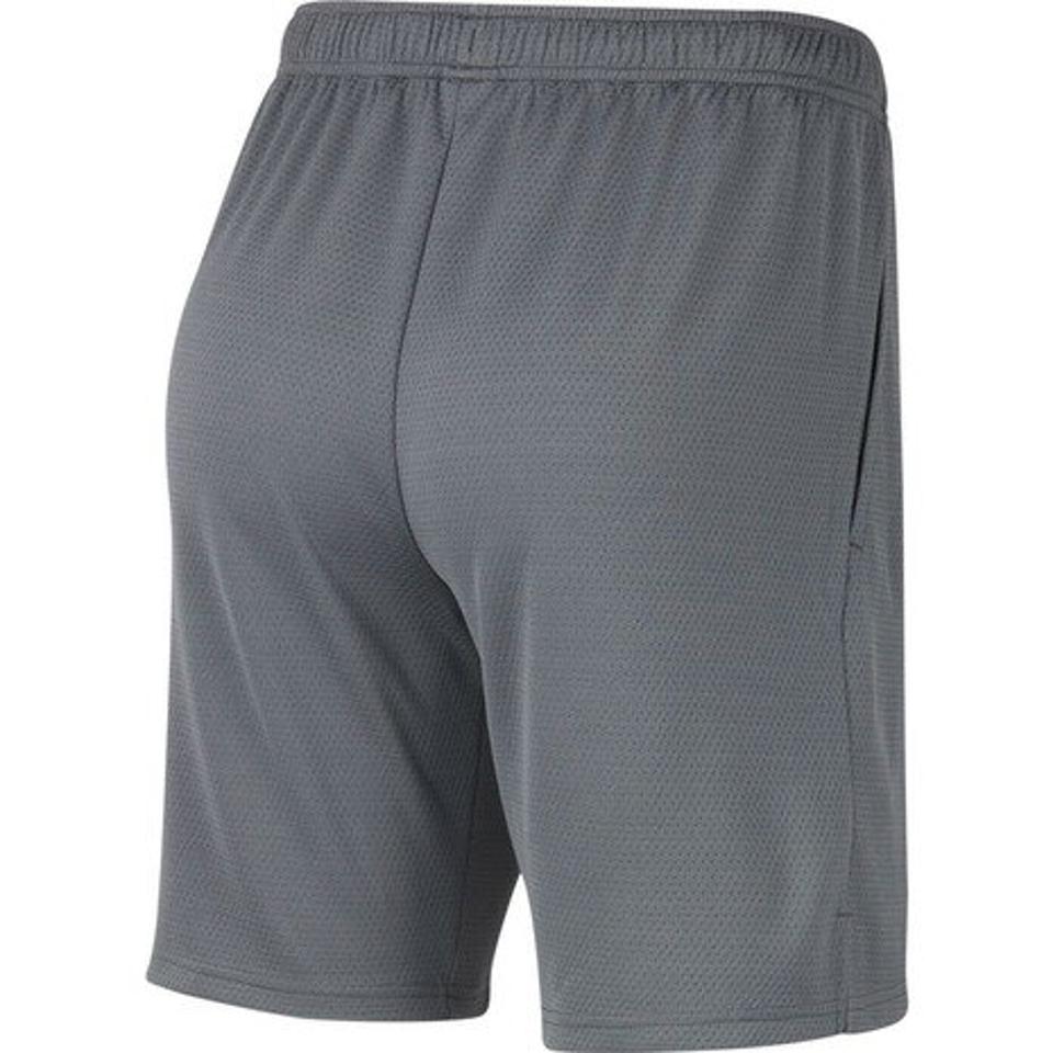 ナイキ(NIKE) モンスター メッシュ 5.0CU4944-068 オンライン価格 ショートパンツ ハーフパンツ 短パン (メンズ)