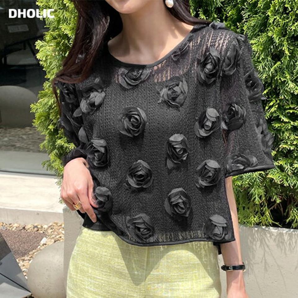 メッシュローズブラウス・全2色・t72460 レディース 【bl】ブラウス トップス 半袖 単色 柄 模様 透け感 シースルー メッシュ 花 モチーフ クロップド丈 二の腕カバー ラウンドネック 春 夏 ユニーク ガーリー 韓国ファッション ハイホリHIHOLLI