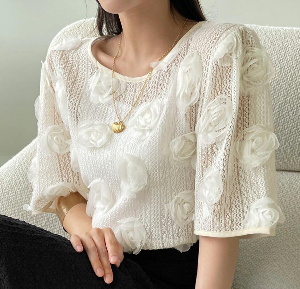 メッシュローズブラウス・全2色・t72460 レディース 【bl】ブラウス トップス 半袖 単色 柄 模様 透け感 シースルー メッシュ 花 モチーフ クロップド丈 二の腕カバー ラウンドネック 春 夏 ユニーク ガーリー 韓国ファッション ハイホリHIHOLLI