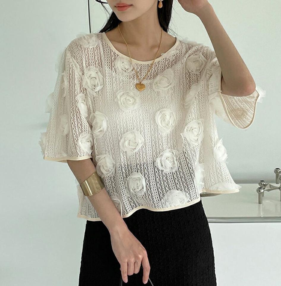 メッシュローズブラウス・全2色・t72460 レディース 【bl】ブラウス トップス 半袖 単色 柄 模様 透け感 シースルー メッシュ 花 モチーフ クロップド丈 二の腕カバー ラウンドネック 春 夏 ユニーク ガーリー 韓国ファッション ハイホリHIHOLLI