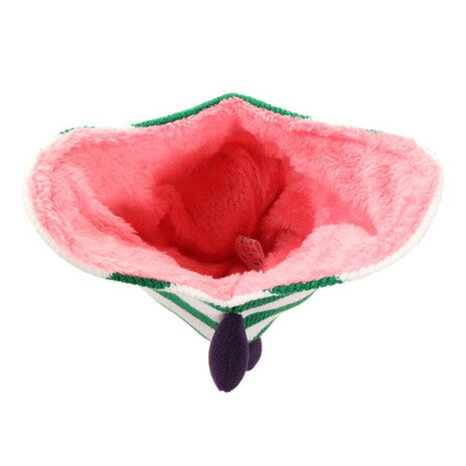 スタンレーインターナショナル(STANLEY INTERNATIONAL) ダイナソー ニットキャップ 100-TMZ-011722 GRN (キッズ)