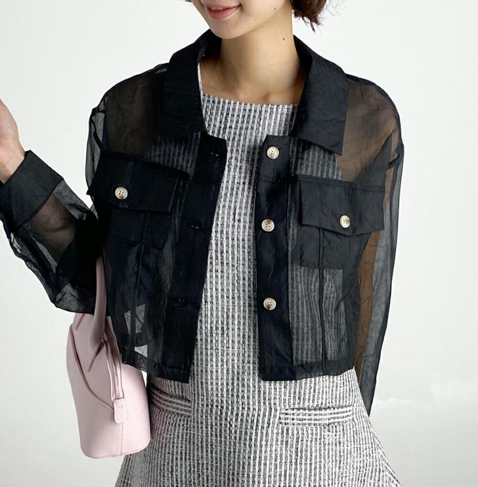 シアークロップドシャツ・b67457 レディース 【bl】トップス シャツ 長袖 透け感 シアー シースルー フェミニン 襟 クロップド丈 単色 シンプル カジュアル レイヤード ユニーク 大人 個性的 春 夏 韓国ファッション